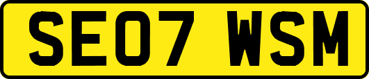 SE07WSM