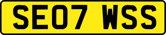 SE07WSS