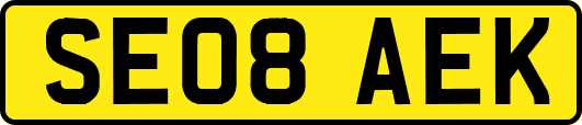 SE08AEK