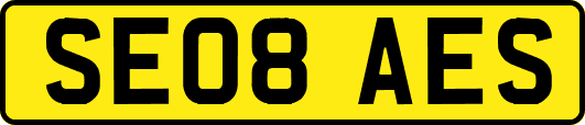 SE08AES