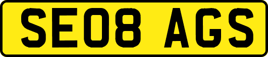 SE08AGS