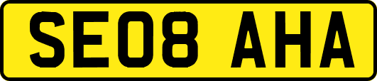 SE08AHA