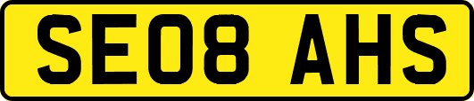 SE08AHS