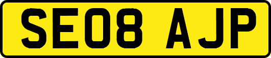 SE08AJP