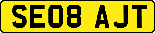 SE08AJT
