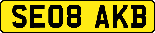 SE08AKB