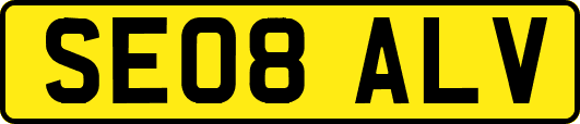 SE08ALV