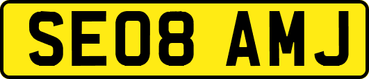 SE08AMJ