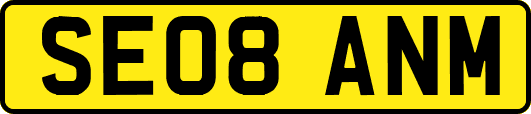 SE08ANM