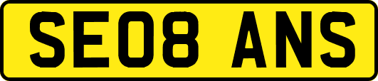 SE08ANS
