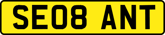 SE08ANT