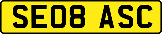 SE08ASC