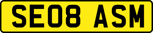 SE08ASM