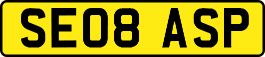 SE08ASP