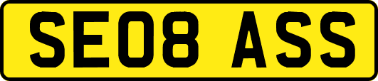 SE08ASS