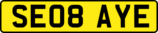 SE08AYE