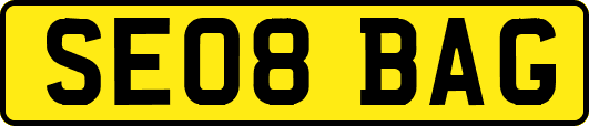 SE08BAG