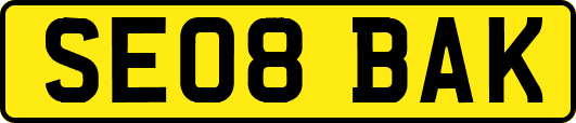 SE08BAK