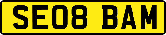 SE08BAM