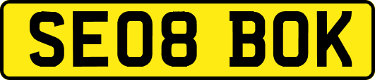 SE08BOK