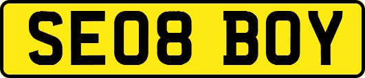 SE08BOY