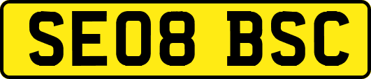 SE08BSC