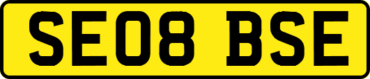 SE08BSE