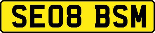 SE08BSM