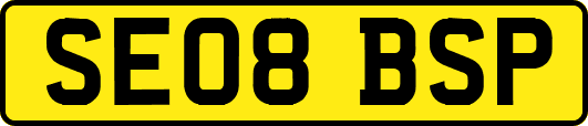 SE08BSP