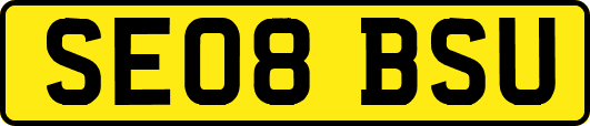 SE08BSU