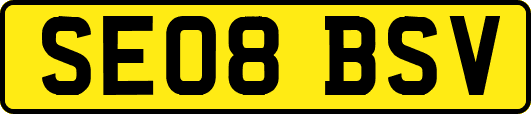 SE08BSV