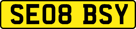 SE08BSY