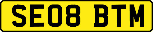 SE08BTM