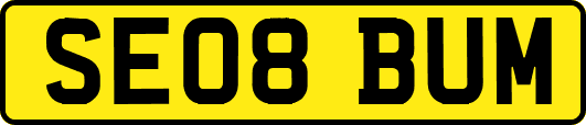 SE08BUM
