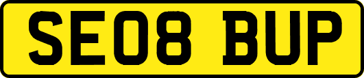 SE08BUP