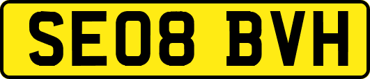 SE08BVH