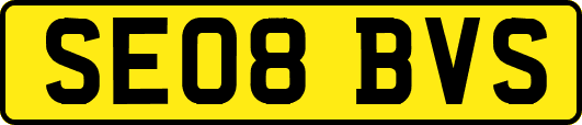 SE08BVS