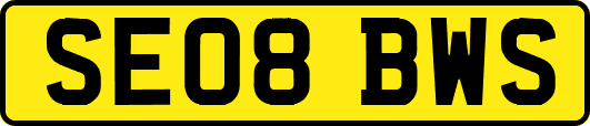 SE08BWS