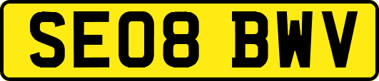SE08BWV