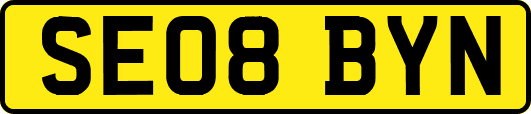 SE08BYN