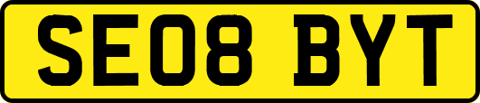 SE08BYT