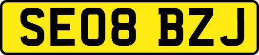 SE08BZJ