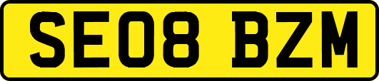 SE08BZM