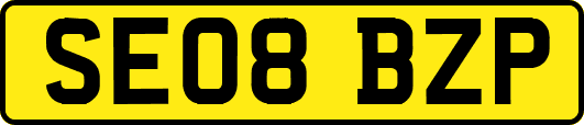 SE08BZP