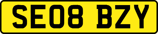 SE08BZY