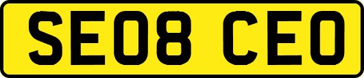 SE08CEO
