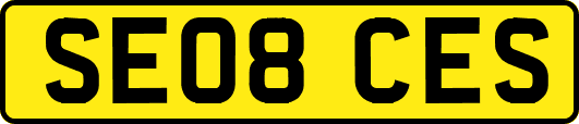 SE08CES