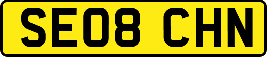 SE08CHN