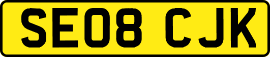 SE08CJK