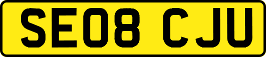 SE08CJU